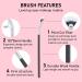 4PCS Mascara Fan Brush Set - Enhance Lower Lashes & Natural Lifted Effects | Smooth Apply No Clumping | Best Synthetic Fibre Lash Wand - Buy Online on GoSupps.com
