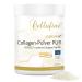 Cellufine Premium Verisol Collages Powder 300 g I Beauty Collagen Powder with Bioactive Collages Peptats I Natur & without preservatives 120 portions with very high bioavailability 300 g (1 Pack)