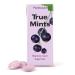 Buy True Mints 6 Set - Sugar-Free Pastilles in Fresh Mint Black Johsanberry & Cherry | 78g International Shipping - Buy Online on GoSupps.com