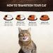 Wellness Core Tender Cuts Cat Food - Grain Free Wet Sauce High Meat Content Turkey Selection Mix (6 x 85g Pack) - International Shipping Available - Buy Online on GoSupps.com