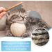 Stainless Steel Pet Comb Pet Combs With Wooden Handle Pet Grooming Comb Skin Friendly Comb Anti-Tangle Comb Removes Knots And Tangles Solid Wood Comb For Removing Floating Hair And Fleas - Buy Online on GoSupps.com