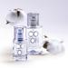 SOLINOTES Cotton Flower Perfume for Women - Eau De Parfum | Delicate Floral and Soothing Scent - Made in France - Vegan - 0.5 fl.oz - Buy Online on GoSupps.com