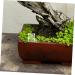 Hohopeti Pet Water Feeder Ants Feeding Bowl Insect Water Feeder Transparent Ants Feeding Cup Plastic - Buy Online on GoSupps.com