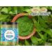 Green Velly Organic Infinity Neem Leaf Powder (Azadirachta Indica) for Pimple Free Clear Skin Healthy Hair & Hair Cleanser/Skin and Face Care Powder Pack - 100 GM by Organic Infinity - Buy Online on GoSupps.com