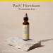 Bach Original Flower Remedies Hornbeam - Procrastinate Less - Natural Homeopathic Flower Essence for Emotional Balance - Vegan Gluten Free Sugar Free - 20mL Dropper - Buy Online on GoSupps.com