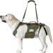 Buy Oneigris Dog Dishes - Invictus Support & Lifting Dishes for Medium & Large Dogs | Safety Dishes with 3 Handles & Adjustable Straps - M Green - Buy Online on GoSupps.com
