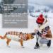 Kuoser Warm Dog Jacket - Reflective Windproof Winter Coat for Small & Large Dogs - Fashionable Red Coat with Dishes - Buy Online on GoSupps.com