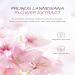 EXQST Whitening Lightening Cream Cherry Blossom Pearl Lightening Capsules Intimate Area Lightening Cream for All Skin Types - Buy Online on GoSupps.com