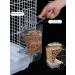 Automatic No Mess Bird Feeder for Parakeet Canary Cockatiel Finch - Bird Cage Accessories - Buy Online on GoSupps.com