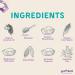 Stinkbug Naturals Organic Plastic Free Deodorant Stick - Cedar Eucalyptus Aluminum Free 2-Pack | Eco-Friendly Natural Ingredients Activated Charcoal - Buy Online on GoSupps.com
