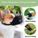 Breathable Dog Muzzle for XXS to XXL - Adjustable Muzzle for Chihuahua Beagle Golden Retriever - Prevent Biting & Chewing Allows Eating & Drinking - Black XXL - Buy Online on GoSupps.com