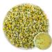 100% Chamomile 30g/1.05oz Fresh Non GMO Loose Leaf camomille feuilles fra ches et non g n tiquement modifi es