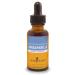 Herb Pharm Sarsaparilla Liquid Extract for Cleansing and Detoxification - 1 Ounce 1 Fl Oz (Pack of 1)