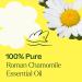 Plant Therapy Roman Chamomile Essential Oil 10 mL (1/3 oz) 100% Pure Undiluted Great for Essential Oil Diffusers Promotes Restful Sleep Supports Healthy Skin - Buy Online on GoSupps.com