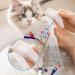 Clrybo Katzenbody | After Op Anti-Trim Cat Recovery Suit | Professional Surgical Suit for Cats & Dogs | Ideal for Abdominal Wounds & Skin Diseases - Buy Online on GoSupps.com