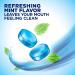 Biotene Dry Mouth Lozenges 81-Count Pack - Dry Mouth Relief & Breath Freshener with Refreshing Mint Flavor - Buy Online on GoSupps.com