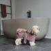 HUNTER Dog Bathrobe Riga - Size 60 Old Pink | Premium Pet Apparel for Comfort & Style - Buy Online on GoSupps.com