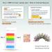Obeyalash Colored Lash Extensions Classic Mix 6 Candy Colors 0.07D 14mm - Rainbow Pink Yellow Green Purple White Blue Individual Eyelash Extensions - Buy Online on GoSupps.com