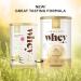 Solgar Grass Fed Whey Protein Powder Vanilla 2lb - 20g New Zealand Protein - Supports Strength & Recovery - 36 Servings - Buy Online on GoSupps.com