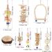 Vegena 8 Set Bird Toys - Colorful Wooden Ladders & Accessories for Budgies Parrots and Cockatoos - Ideal Bird Cage Playtime - Buy Online on GoSupps.com