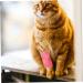 VOSAREA 24 Rolls Sports Wrap for Dogs | Adhesive Wound Wrap Reusable First Aid Tape & Upholstery Non-Woven Fabric Elastic Dog Wrap - Buy Online on GoSupps.com
