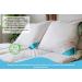 Buy Sandaro Home Seating - 80x80 Down Springs Cushion Set | 100% Natural Cotton | Ultra Comfort & Eco-Tex Certified - Buy Online on GoSupps.com