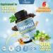 Organic Triphala Extract Capsules with Turmeric, Guggulu, Ginger & More | 5375mg Equivalent | Supports Digestion System & Cleansing | Digest Tone Herbs - Buy Online on GoSupps.com