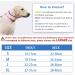 Breathable Dog Muzzle - Rounded Mesh for Small Medium & Large Dogs | Prevent Biting & Chewing - Size M Red - Buy Online on GoSupps.com