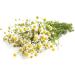 Chamomile Tea Box (25 Units) - Caffeine-Free Digestive Tea for Well-Being & Calm - Sweet Taste Perfect for Relaxation - Buy Online on GoSupps.com