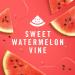 Febreze Plug Air Freshener - Sweet Watermelon Vine - Fade Defy Technology - 3 Pack Refills - International Shipping Available - Buy Online on GoSupps.com