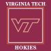 Virginia Tech Hokies Party Supplies - 48 pieces (Serves 16) - Buy Online on GoSupps.com