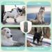 Buy Eyin Non-Slip Dog Shoes - Breathable Paw Protection Reflective Velcro Size 3 for Small Medium & Large Dogs - Dark Gray (2 Pieces) - Perfect for Outdoor Sports - Buy Online on GoSupps.com