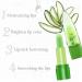 Aliin Lipstick Change Permanent Waterproof Moisturising Discolouration Lip Care Aloe (Multicoloured One Size) 1 count (Pack of 1) multicoloured - Buy Online on GoSupps.com