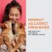 Dynamic Element Pet Odour Eliminator Spray - 9 Fl Oz - Mineral Formula for Strong Odours - Carpet Smell Freshener - Unscented Remover for Dog & Cat Urine on Carpet - Buy Online on GoSupps.com