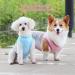 Light Dog Cooling Vest - Safe UV Protection T-Shirt with Reflective Strips for Spring/Summer | Breathable Cooling Jacket for Small to Medium Dogs - S Pink - Buy Online on GoSupps.com
