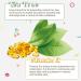 Purifect Tea Tree Facial Oil Serum with Vitamin E Oil Anti Redness Face Serum Soothes and Calms Irritated Skin All Skin Types 30ml Cool Calm Clear - Buy Online on GoSupps.com