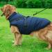 Buy Savlot Dog Jacket - Winter Vests for Pets | Sleeveless Cotton Padded Vest with Chest Strap - Dark Blue (L) - International Shipping Available - Buy Online on GoSupps.com