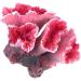 UEETEK Pink Corals for Aquarium Decoration | Vibrant Underwater Elegance - Shop Internationally! - Buy Online on GoSupps.com