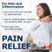 Promise Organic Arnica Gel 120ml (4oz) Instant Soothing Muscle & Joint Pain Relief Reduces Inflammation Arthritis Swelling Joint Pain Topical Made in Canada. Small Size for Gym Travel Work 120 ml (Pack of 1) - Buy Online on GoSupps.com