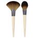 EcoTools Define & Highlight Duo - 2 Brush Set for Flawless Makeup - Buy Online on GoSupps.com