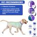 Flea Collar for Dogs 2-Pack Purple | 8 Months Protection | Prevent, Control, & Treat Fleas and Ticks | Adjustable 25 Inch | Free Comb Included - Buy Online on GoSupps.com