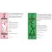 Hot Chocolate Selection Gift Hamper - 10 Festive Hot Character Chocolate Sachets 35g each - Buy Online on GoSupps.com