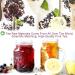 Plant Gift Ireland Spring Fruit Tea Oganic Fruit Herbal Tea All Natural Flavors Loose Leaf Roselle Grapes Blueberries Peppermint Non GMO Vegan Tea Bags Into Iced Tea & Hot Tea 70G/2.5oz - Buy Online on GoSupps.com