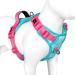 Phoepet no pull dog harness reflective dog vest with soft training handle for small medium -sized and large dogs (mint green base and pink carrier m) mint green base and pink carrier medium