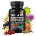 Pure shilajit Supplement with ashwagandha Ginseng rhodiola rosea cordyceps Mushroom Ginkgo biloba stinging Nettle Turmeric 8 in 1 Supplement