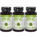 Zinc Citrate | 50mg x 240 Capsules (Zinc from Zinc Citrate 15mg) | 8 Months Supply | Immune System Support Supplement | Skin Maintenance | by Cvetita Herbal 3