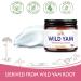 Wild Yam Cream for Hormone Balance | 100% Organic Estrogen Cream for Women | PMS Perimenopause & Menopause Support | All Skin Types - Buy Online on GoSupps.com