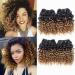 Curly Bundles Human Hair Kinky Curly Human Hair Ombre Brazilian Virgin HairBundles Short Curly 4 Bundles (50 Gram/Bundle 8 Inches ) (8"8"8"8", 1B/30) 8 Inch (Pack of 4) 1B/30
