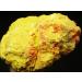 313g Golden Yellow Orpiment with Red Realgar Crystal Specimen JZIGTDEM - Buy Online on GoSupps.com