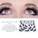 Natural 3D Fake Eyelashes - 10 Pairs of Thick Fluffy Long Synthetic Fiber Lashes for Women - Buy Online on GoSupps.com